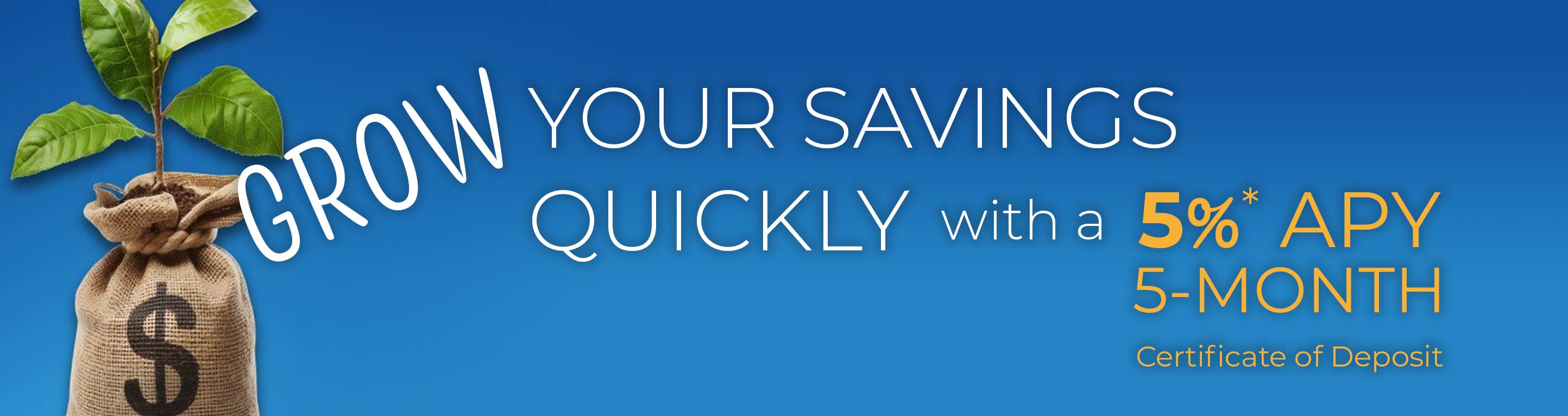 Grow your savings quickly with a 5% APY 5 month certificate of deposit